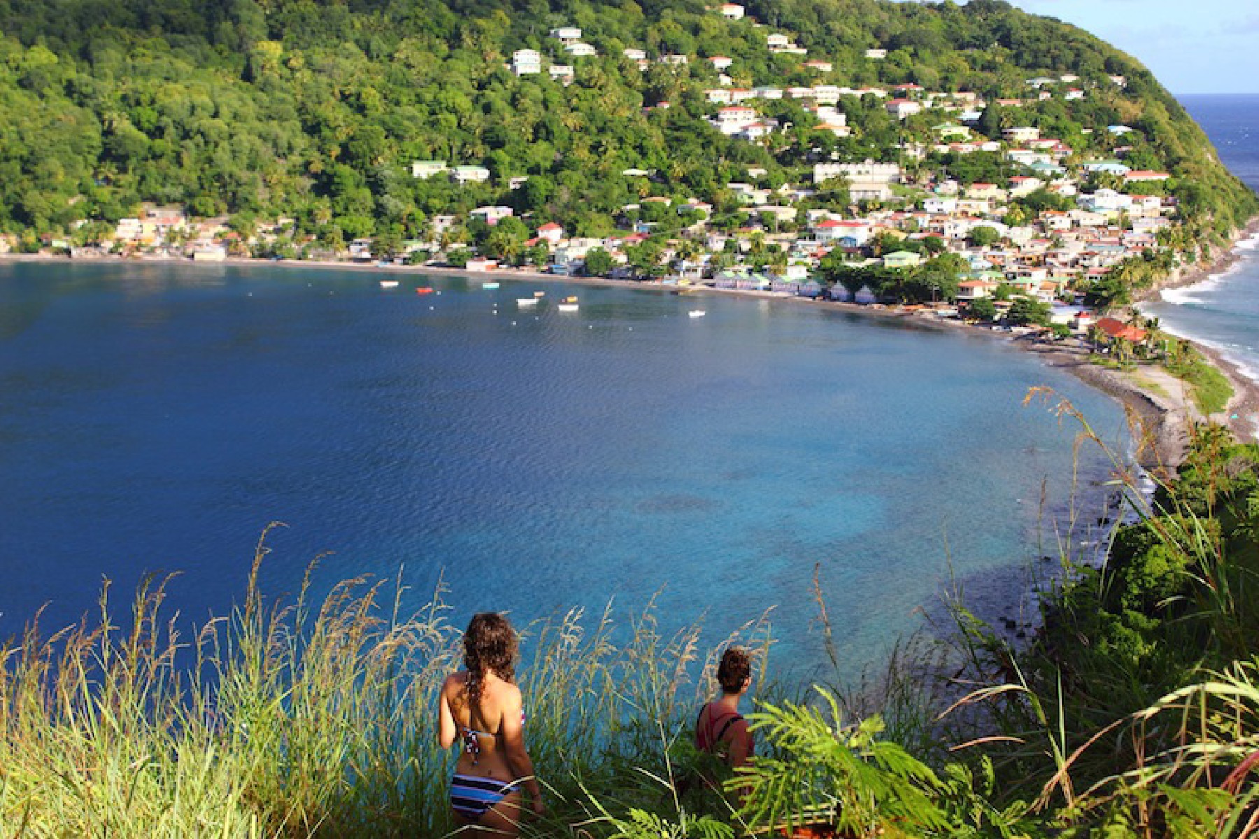 Jungle Bay Dominica